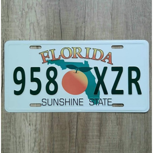 20260111-142646-0005 Florida