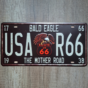 20260308-202733-0000 Bald Eagle R66
