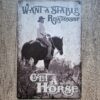 GET A HORSE